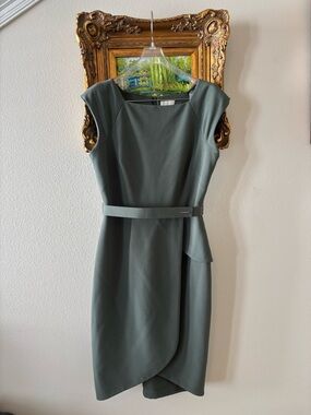 The Limited Scandal Collection Green Tulip Skirt Sheath Dress